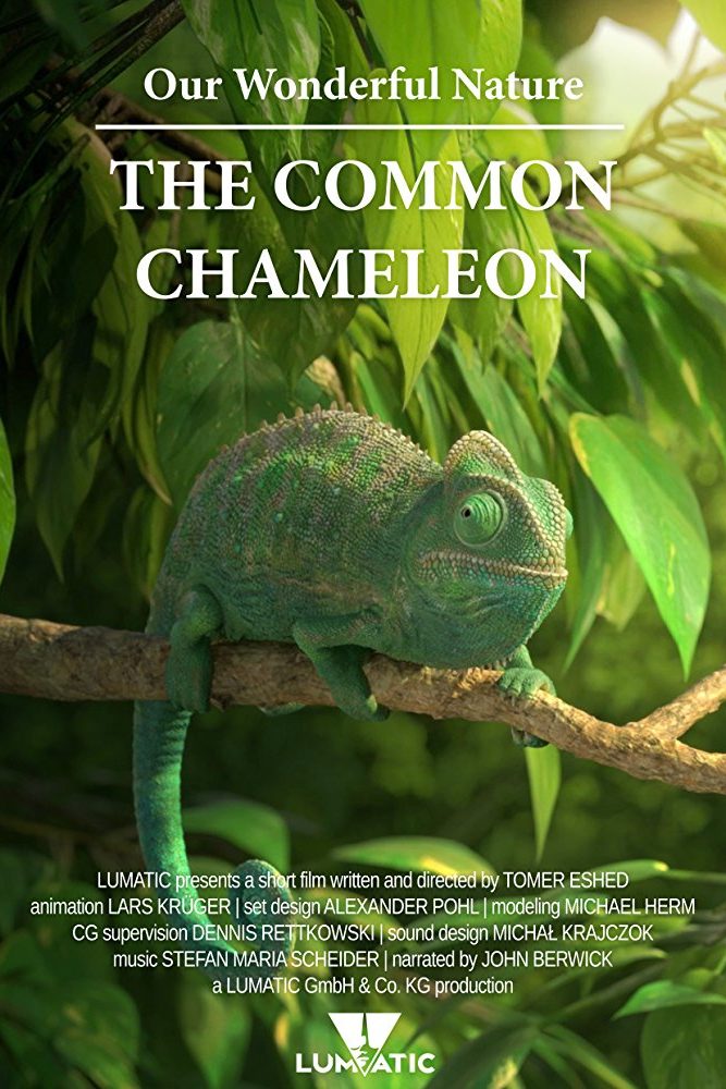 Common Chameleon poster